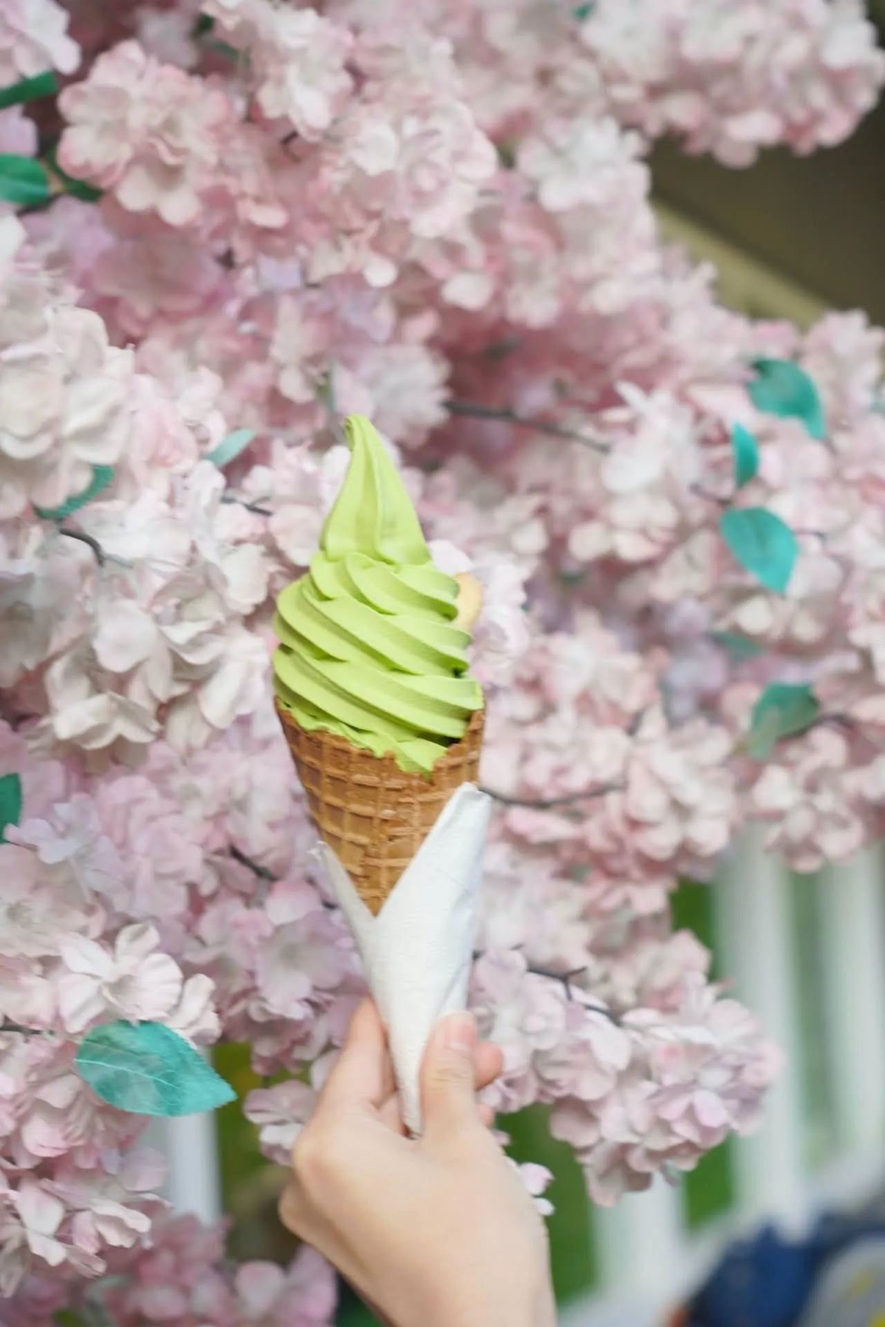 【台南】台灣好行一日美食大腹翁，搭上88府城巡安線來個悠閒台南小旅遊｜水仙宮市場｜永樂町鼓茶樓｜府中街商圈｜愛國婦人館