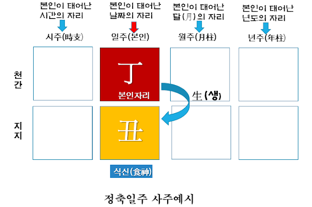 정축일주 사주개념도