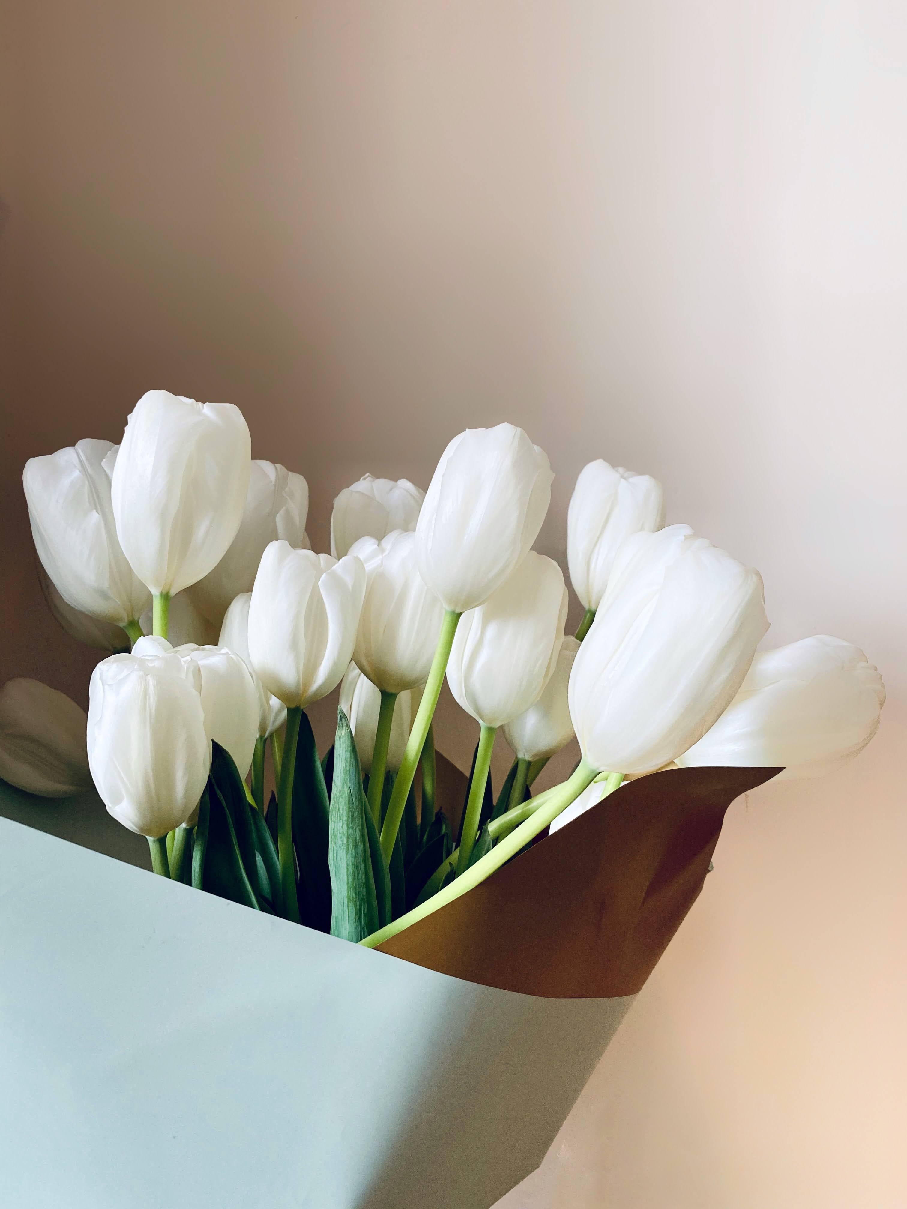 White Tulips Wrapped in Paper | Photo by Loredana Filip via Unsplash