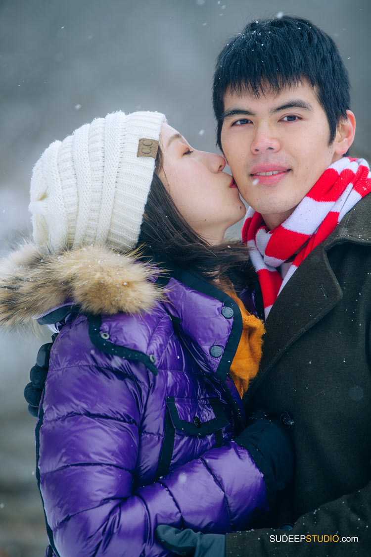 Ann Arbor Winter Snow Engagement Pictures in Arboretum Nature by SudeepStudio.com Ann Arbor Wedding Photographer