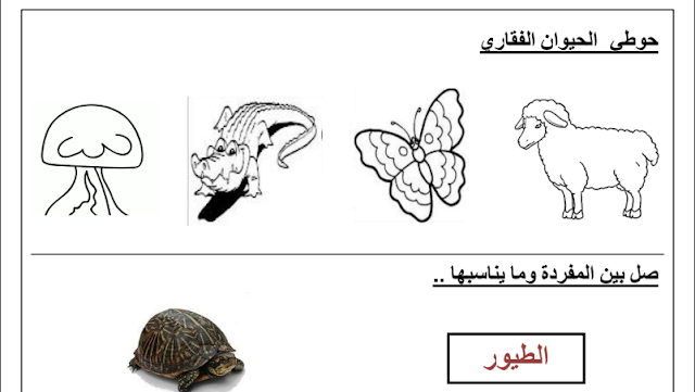 اوراق عمل علوم للصف الثاني الابتدائي