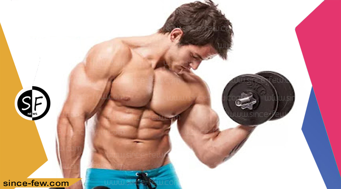 Muscle Workout Twice A Week To Bulk Up