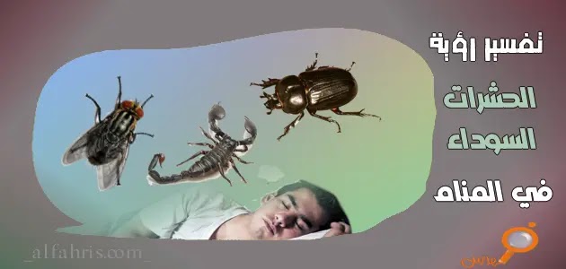 رؤية الحشرات السوداء في المنام تفسيرات ودلالات شاملة