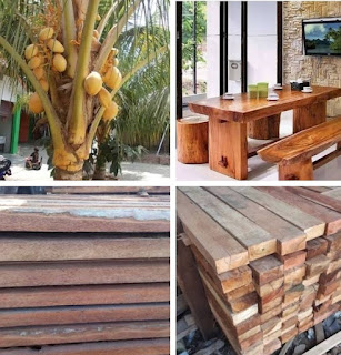 Characteristics, Advantages, and Disadvantages of Furniture made of Coconut Wood