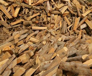 Buy BorneFire Wood @20/Kg