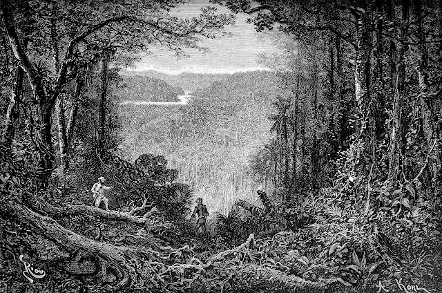 Édouard Riou 1800s illustration of the Amazon forest