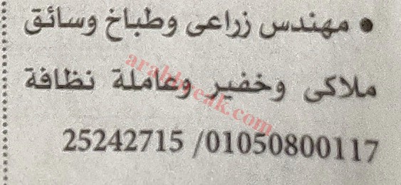 اهم وافضل الوظائف اهرام الجمعة وظائف خلية وظائف شاغرة على عرب بريك