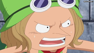 ワンピースアニメ ドレスローザ編 743話 レオ | ONE PIECE Episode 743