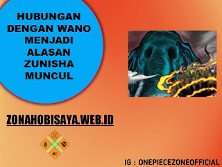 Hubungan Dengan Negeri Wano, Alasan Kenapa Zunisha Ke Wano Yang Terisolasi