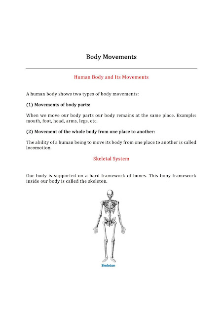 NCERT Class 6 Science Chapter 5 Body Movements Notes PDF Download