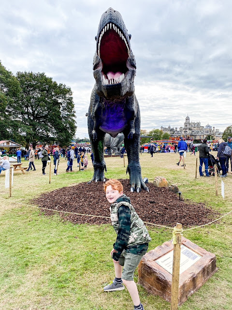Boy standing in front of a T-Rex