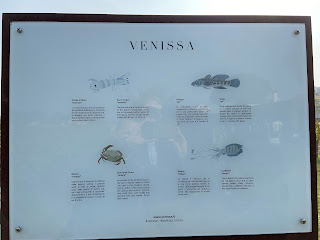 Information about the fish and crustaceans in the lagoon.