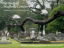 May 2023 Interview About My "Birds of Magnolia Cemetery" Book