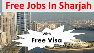 Sales & Admin Staff Jobs Recruitment in Trading company in Rolla, Sharjah