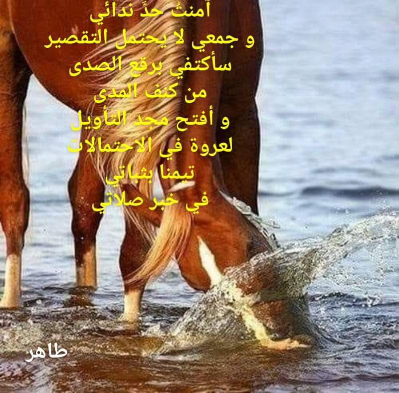 صورة