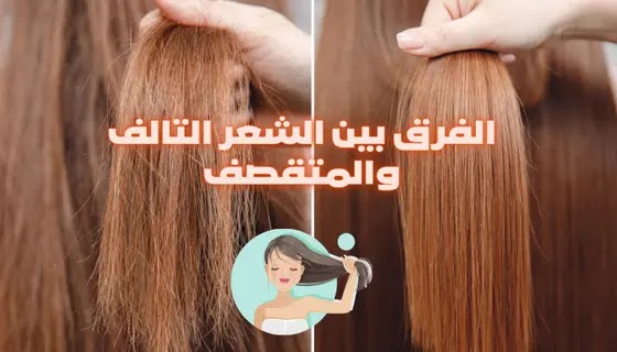 الفرق بين الشعر التالف والمتقصف .. علاج الشعر التالف والمتقصف والمتساقط