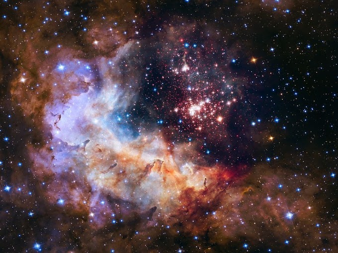 Westerlund 2 - A Star Cluster