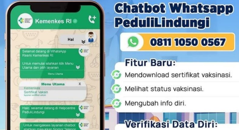 Nomor Chatbot WhatsApp Pedulilindungi