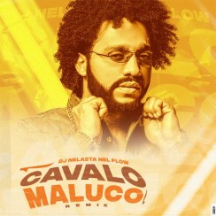 (Afro House) DJ Nelasta Nel Flow - Cavalo Maluco (Remix) (2021) 