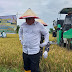 Bupati Kotabaru Bangga, Poktan Di Desa Salino Berhasil Panen Padi Di Musim Kering