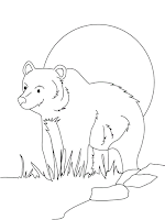 Bear coloring page for kids