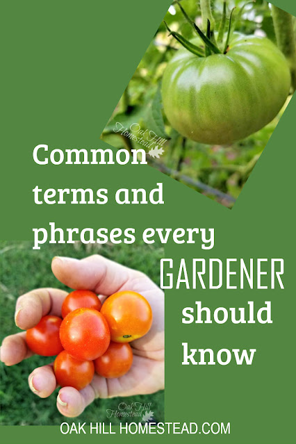 Common terms and phrases every gardener should know.