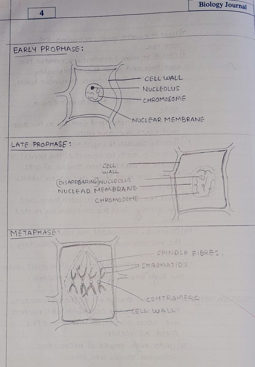 5Maharashtra SSC Board 12 Class practical of Biology Journal solutions