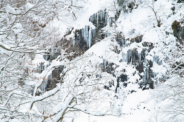 #photo #landscape #sigma #foveon #sdquattroh #japan #yamagata #tsuruoka #写真 #風景写真 #山形帝國 #山形県 #鶴岡市