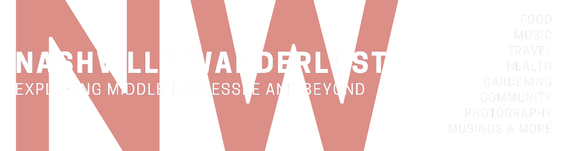 Nashville Wanderlust