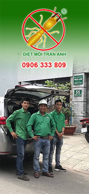 Diệt Mối