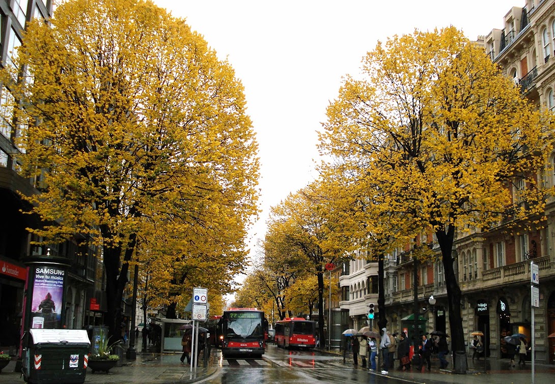 OTOÑO EN BILBAO