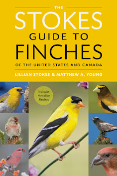 ORDER NOW! NEW! The Stokes Guide to Finches of The United States and Canada