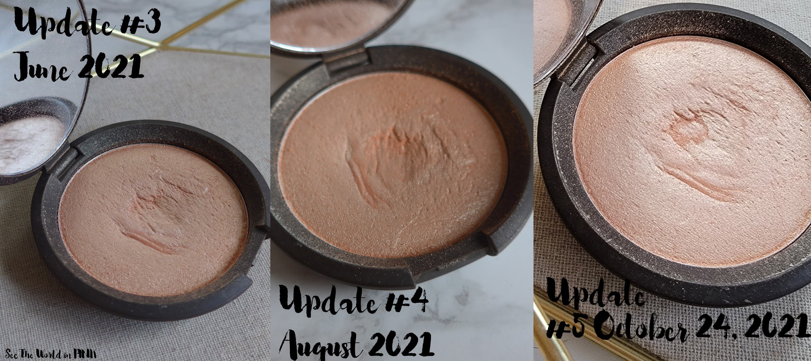 Project Pan 21 in 2021 ~ Update #5