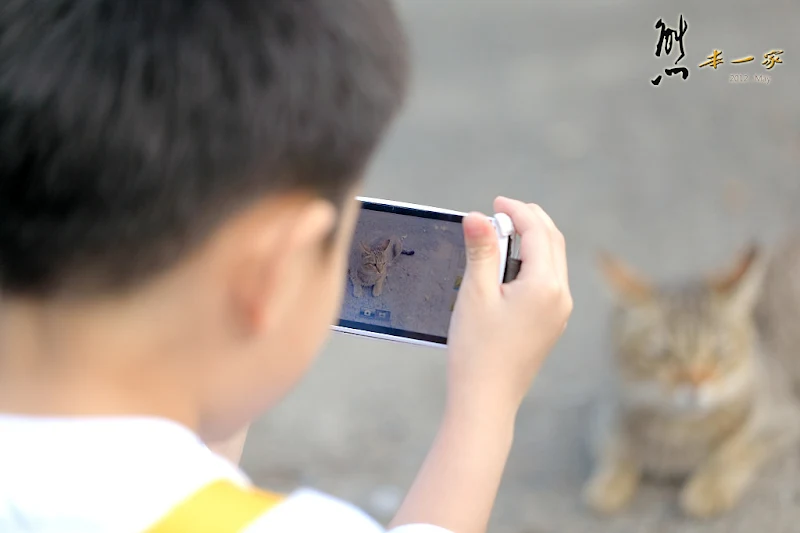 猴硐貓村｜猴硐車站｜願景館｜瑞芳景點｜國裕煤產｜猴硐煤礦場