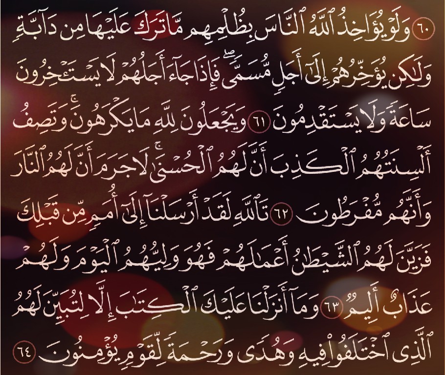 شرح وتفسير, سورة النحل, Surah An-Nahl ,من الآية 56 ,إلى الاية 72,