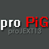 proPiG proJEXT13