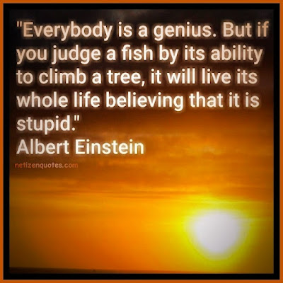 "Everybody is a genius. But if you judge a fish by its ability to climb a tree, it will live its whole life believing that it is stupid." Albert Einstein