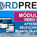 Plantilla adecuada para tu proyecto de wordpress