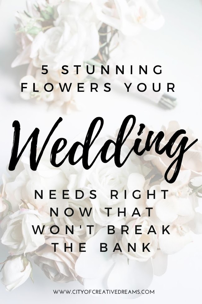 Something Borrowed Blooms Review: 5 Stunning Flowers Your Wedding Needs Right Now That Won't Break The Bank | City of Creative Dreams