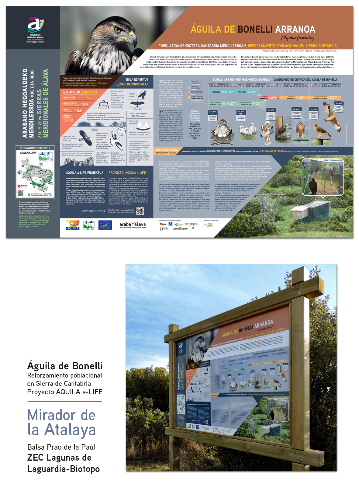 Panel Reforzamiento poblacional del águila de Bonelli en Sierra de Cantabria. Cliente Diputación Foral de Álava