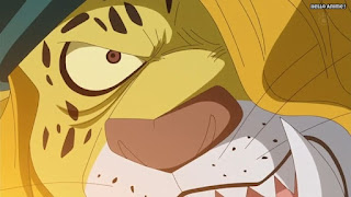 ワンピースアニメ WCI編 790話 ペドロ PEDRO | ONE PIECE Episode 790