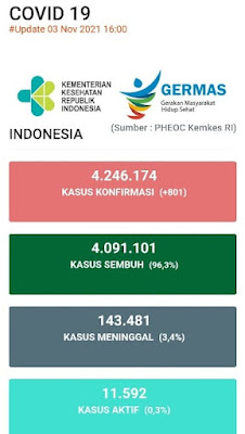 Sayur dan buah penambah imun tubuh di musim pandemi