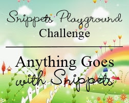 SNIPPETS PLAYGROUND CHALLENGE