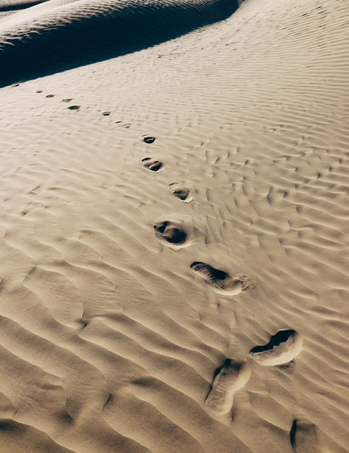 Great Sand Hills Saskatchewan Sandhills