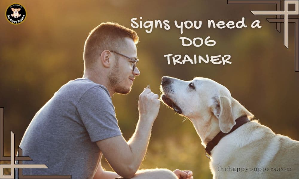 Signs you need a dog trainer