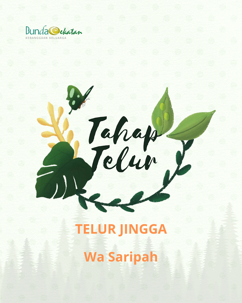 Tahapan Telur Jingga