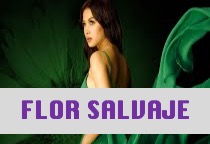 Flor Salvaje Capítulos Completos Ver Gratis