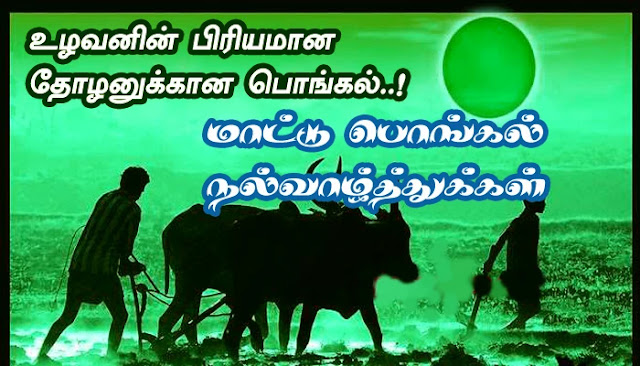 Mattu Pongal Wishes In Tamil