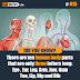 There are ten human body parts that are only three letters long