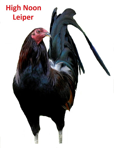 High Noon Leiper cock